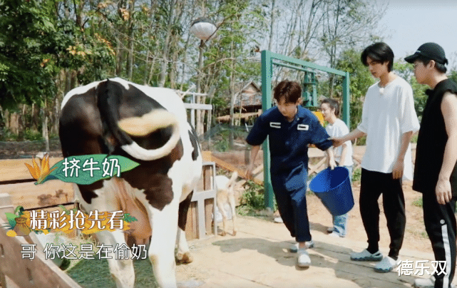 #汪苏泷#向往的生活咋回事？让黄晓明搬砖就算了，再看汪苏泷，怀疑眼睛！