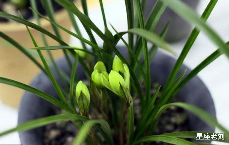 明天起，喜事如雨下不停，4生肖中大奖、发大财，喜事上上吉