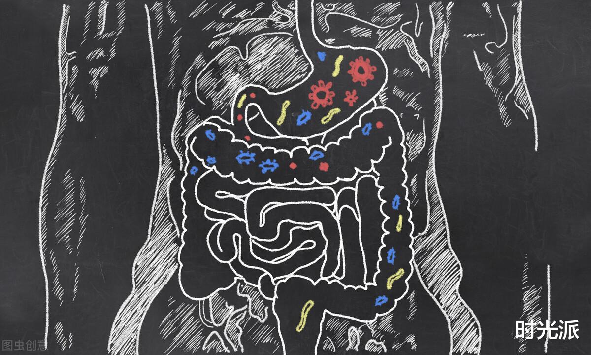 植物人|肠脑有多“聪明”？植物人大脑死亡，肠脑仍在“接管全局”