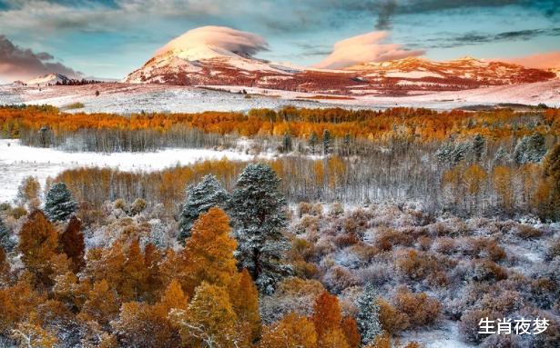 生肖|10月起，幡然悔悟，心软回头，3生肖旧情复燃，余生恩爱到底