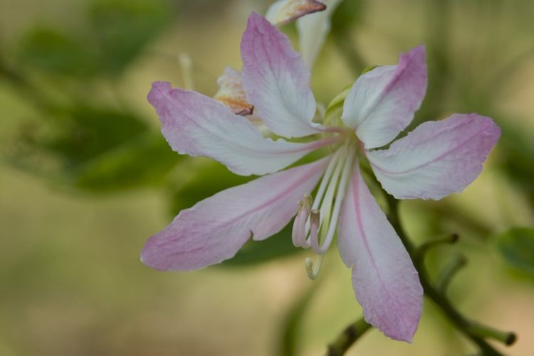 生肖|九月份开始，天天笑容关脸上，好运不迟到，家财不漏福禄多的生肖