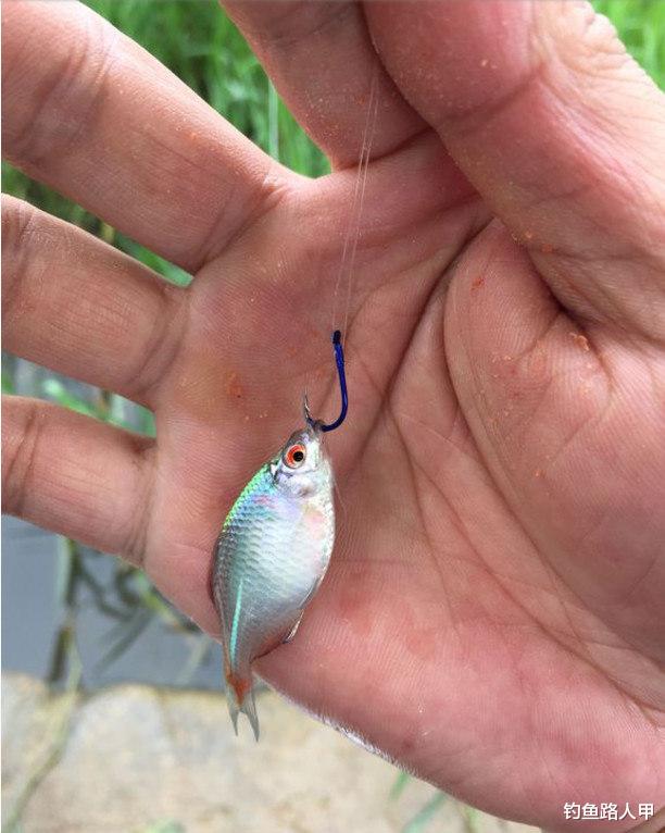 水库@新手的困惑，为啥一到河流就钓不到鱼？因为作钓方式决定了渔获