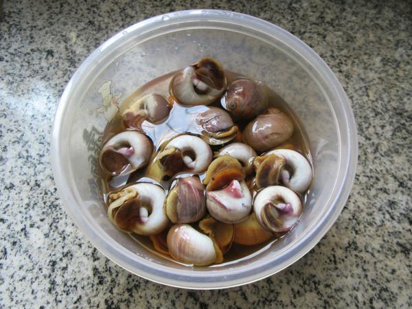 香螺|被“误解”最深的美食，它全身是宝，比甲鱼营养，6元1斤没人买