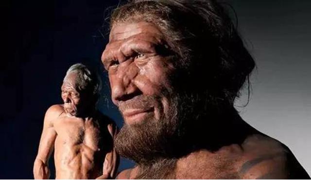 尼安德特人|尼安德特人的复仇:和现代人先祖春风几度,给我们留下无尽祸根