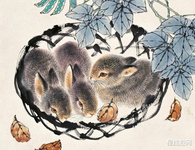 生肖|8月更比7月红,3生肖这个月苦,下个月甜,飞跃龙门,笑傲职场