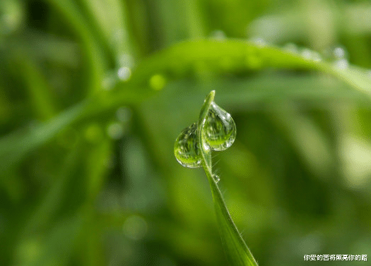属鸡|8月开始，4属相横财如雨，贵人喜事上门，日子越过越顺