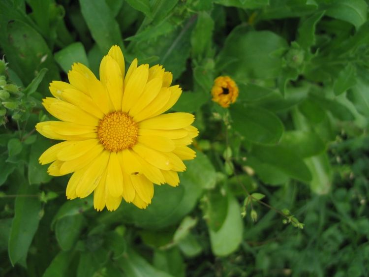 『属马』未来三个月事业一帆风顺,前途大好,财运也是杠杠的四属相