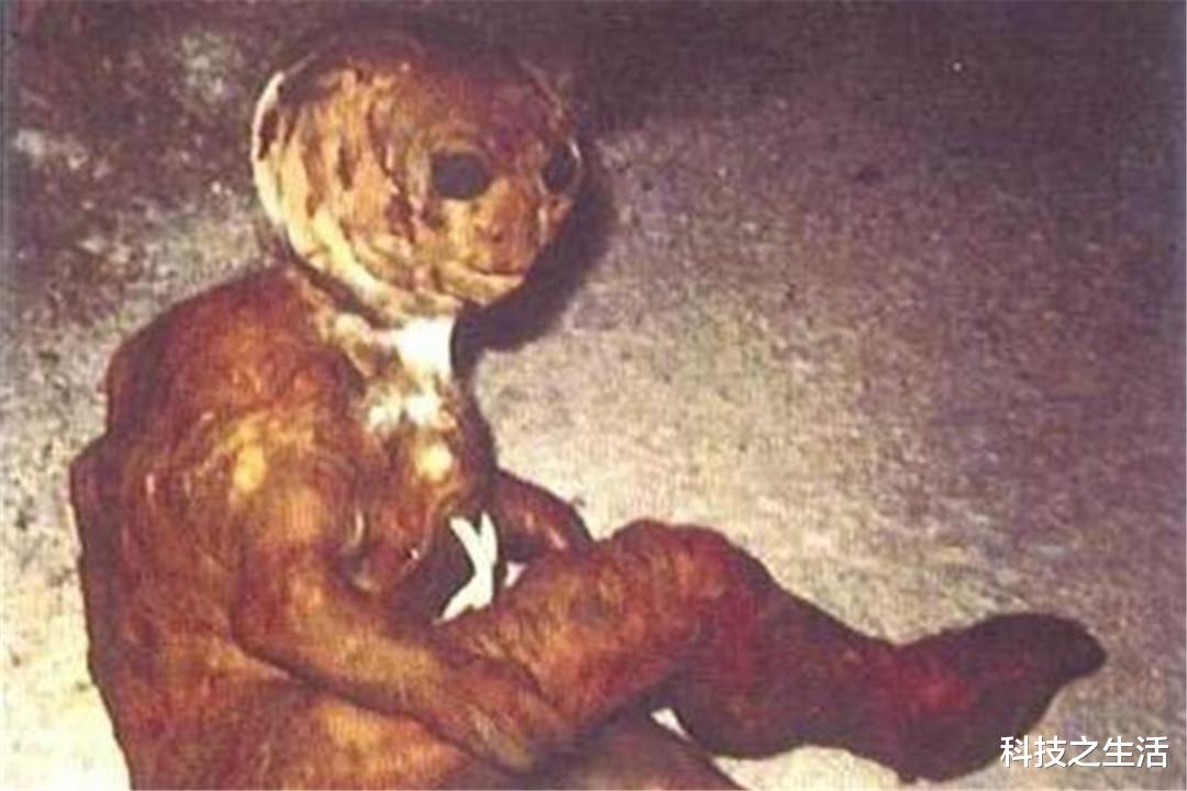 外星生物|外星生物真存在？1993年菲利韦托发现的怪异生物，至今未确定身份！