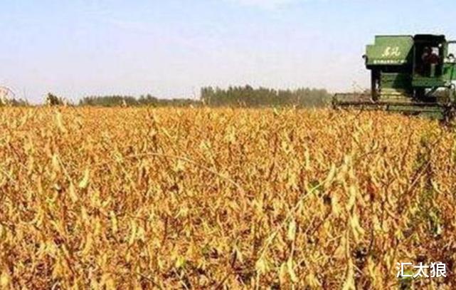 [职业年金]美国加收中国关税，只因中方进口千万吨大豆，俄媒： 公报私仇！