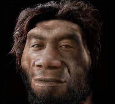 哺乳动物@这些人类的隐秘癖好, 居然是进化遗留的远古本能