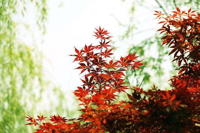 @再好的专业大学都比不过本科大学？这是为什么？听听过来人怎么说