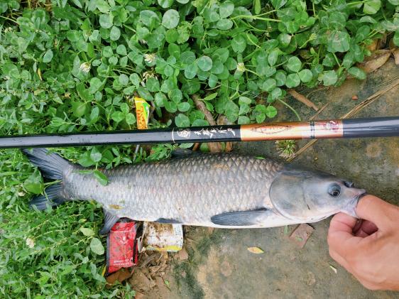 「」炎炎夏日3个黄金钓位