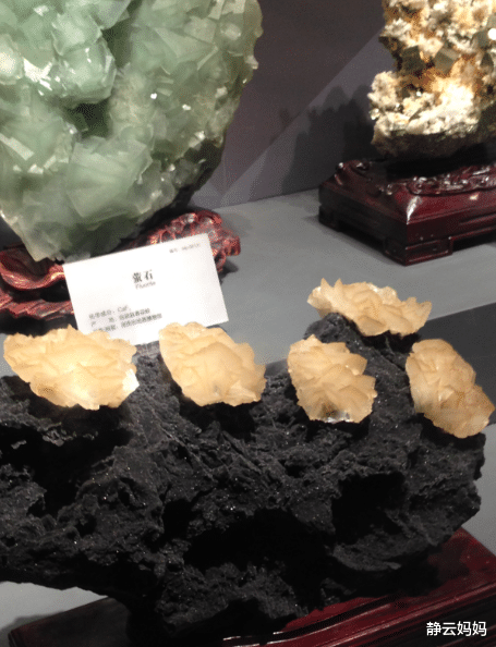 「长沙」长沙13个免费旅游景点，个个精心挑选，五一陪孩子好好玩尽兴