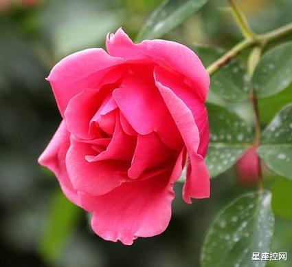 |出生在几月的人，手脑能并用，赚钱不太累，有发家致富的真本事