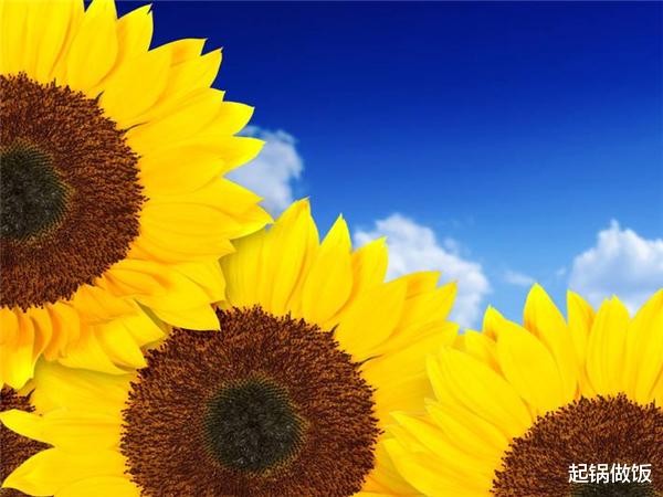 生肖|恭喜3星座，七月底求得上上签，爱情即刻出现