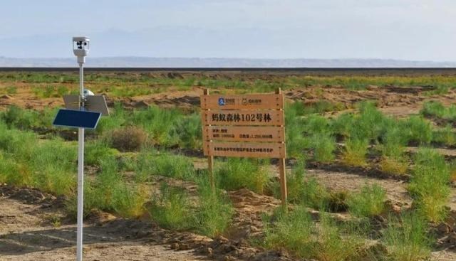 智能手表|阿里巴巴公布的一张“照片”，让网友备受感动：马云真的没骗人！