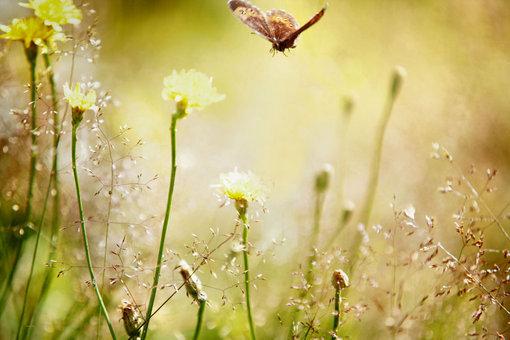 水瓶座@天生富贵的三大生肖，少劳碌，财权双收