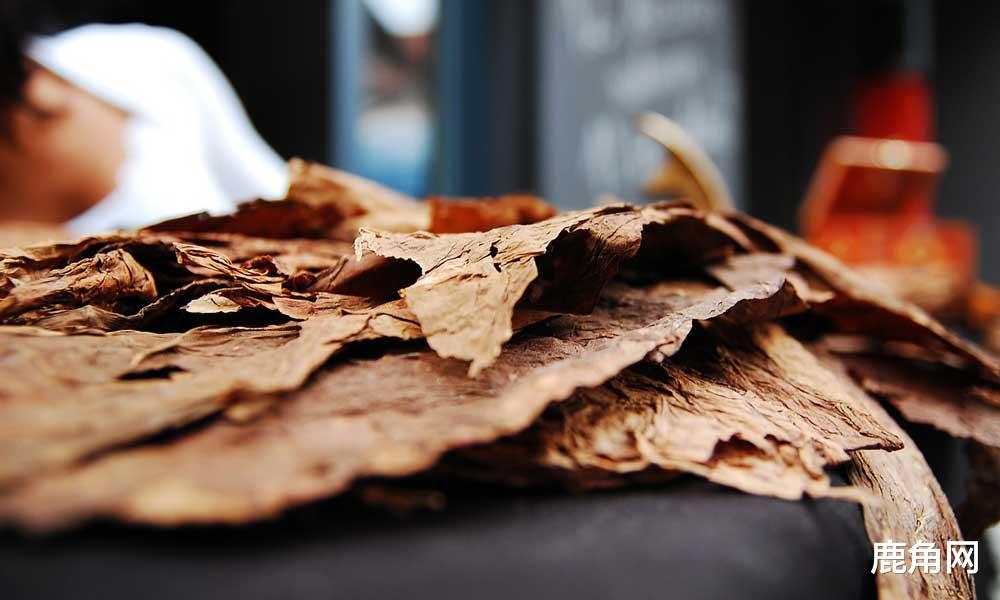 尼古丁|尼古丁是什么？你真正了解尼古丁吗？