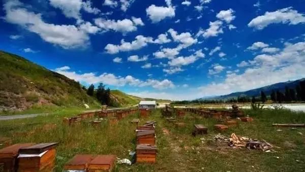 伊犁▲伊犁最低调的小县城，藏着最美的百里画廊，很多人还不知道！