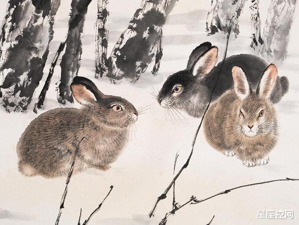 |8月从头顺到尾的3属相，工资增，存款涨，经济实力不与旧日同语