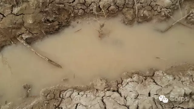 「」土壤的三大“癌症”