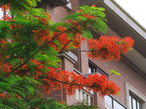 摄像头|2020 手机必备黑科技都有哪些？