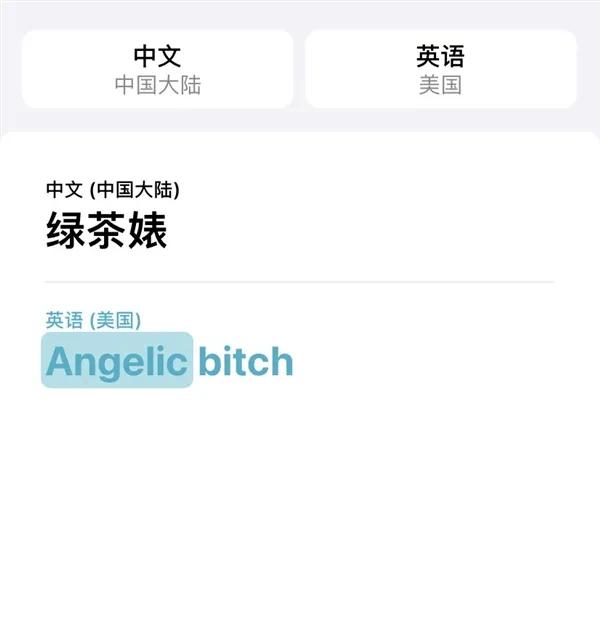 阿里巴巴|IOS14翻译堪称“懂王”,瓜娃子、你懂个锤子...翻译得也太准确了
