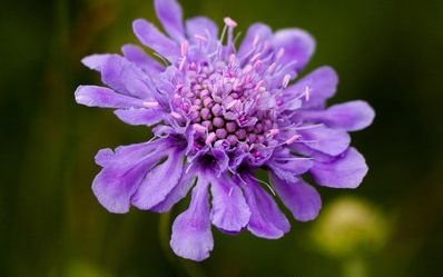 运势|从8月开始，运势还不错，会吉星高照，自由快活的三大生肖