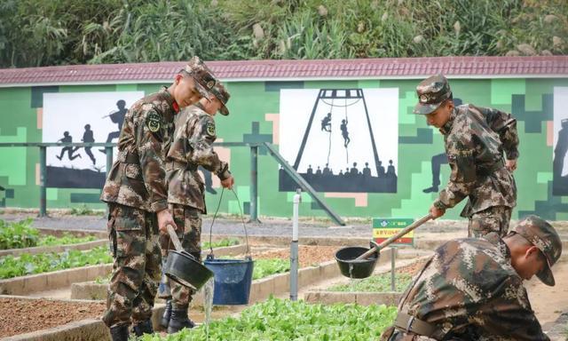 新兵下队一周了，他们过得可好？