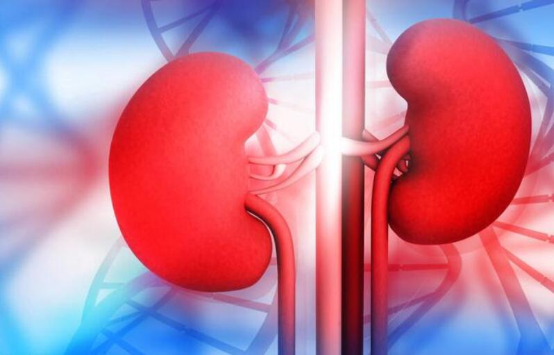 血栓|肾病常用的1类降压药,还有降蛋白、护肾等5大好处,用了就赚