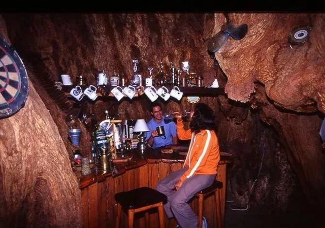 酒吧|在6000年树龄的树里开酒吧，最多容纳15人，这棵巨树后来如何了？
