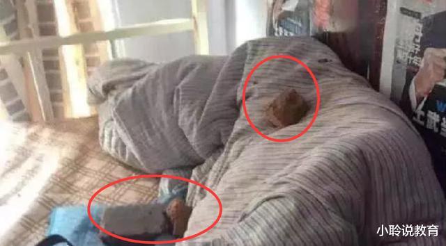 宿舍|高考600多分，却因211大学“宿舍太差”退学，网友：太任性了！