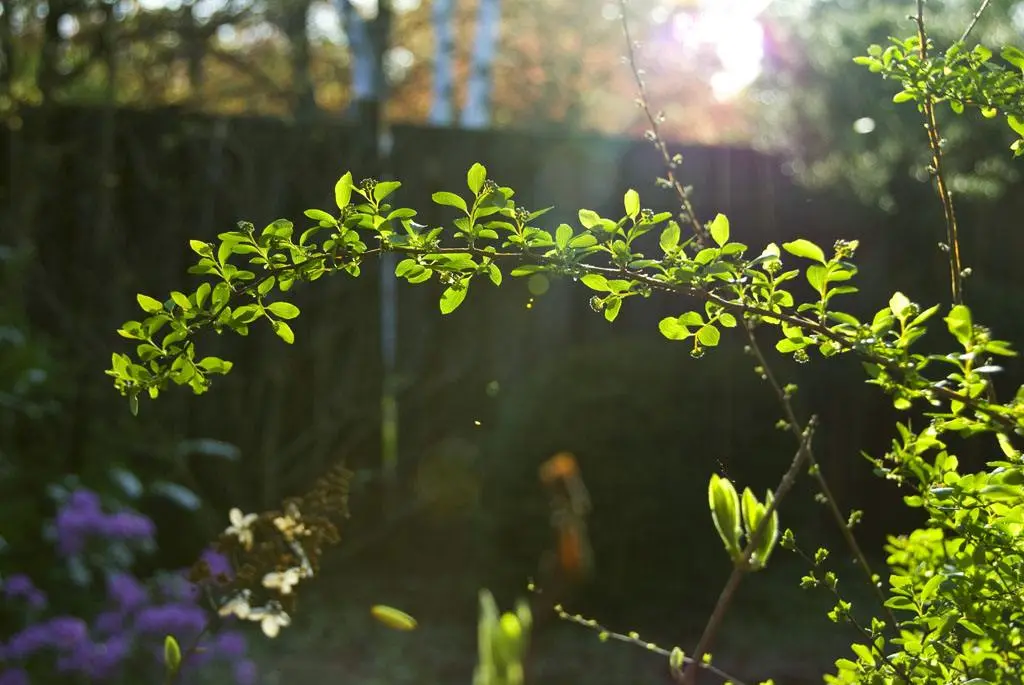 『旅行』适合五月出发的9个旅行地，第一个就心动