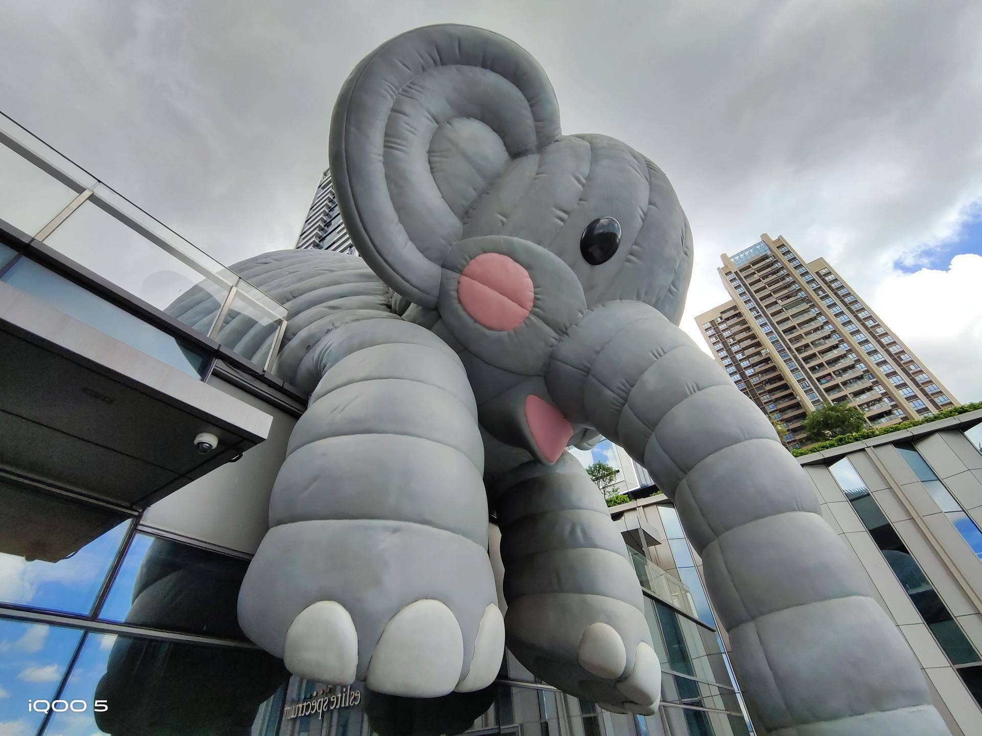 iqoo|大底主摄旗舰机对决：荣耀和iQOO哪款更强？