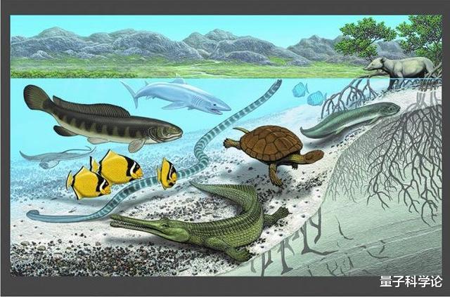 章鱼|章鱼应该来自外星？多个研究表明，科学家的怀疑或许是对的