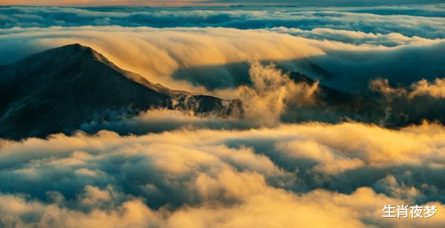 「生肖」5月底，动了真心，忘了旧情，3生肖选择情深意切，重获新人挚爱