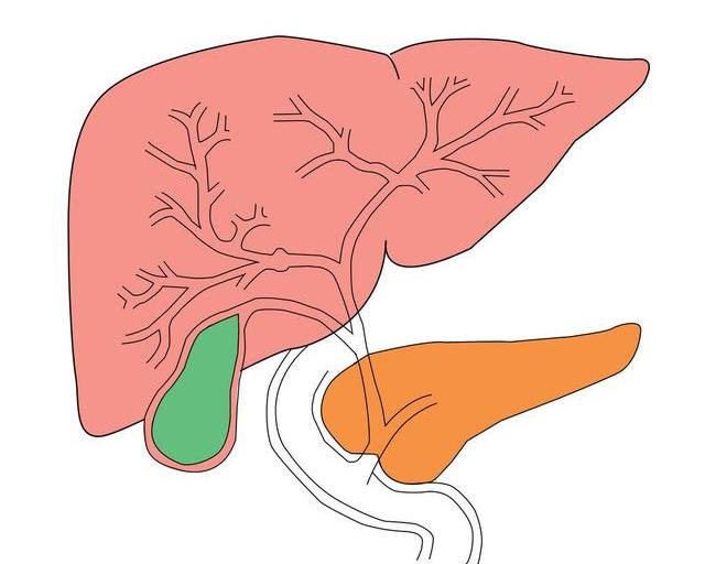 [肝脏]44岁女子，查出肝癌，不只喝酒伤肝，4件事做太多，肝也受不了