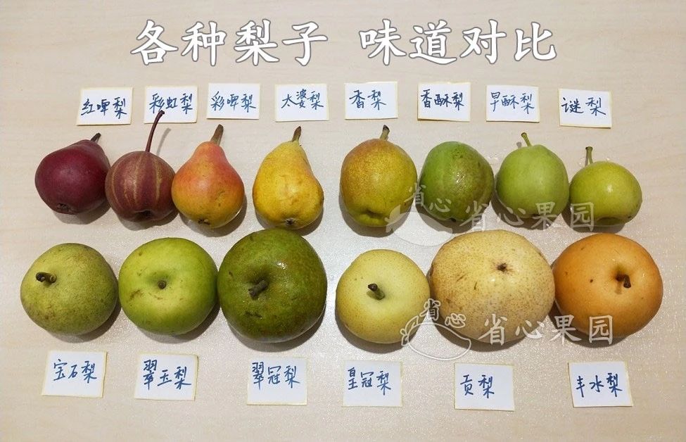 五花肉|如何才能做一个合格的吃货？