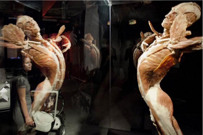 科学家|人体最神奇的5个器官，前2个被摘除，还有一个能在水面上漂浮