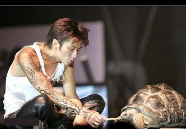 谢霆锋|谢霆锋见缝插针向王菲示爱，《中国好声音》2020第三场