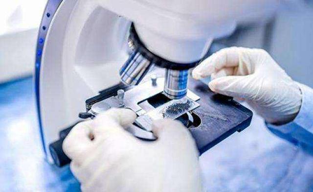 |新冠病毒为何没在夏天消失？美国专家的研究，或揭示了主要原因