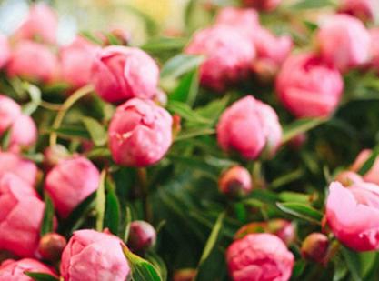 天蝎座|下半年最有可能收获爱情的4个星座，默默守护，幸福如期而至