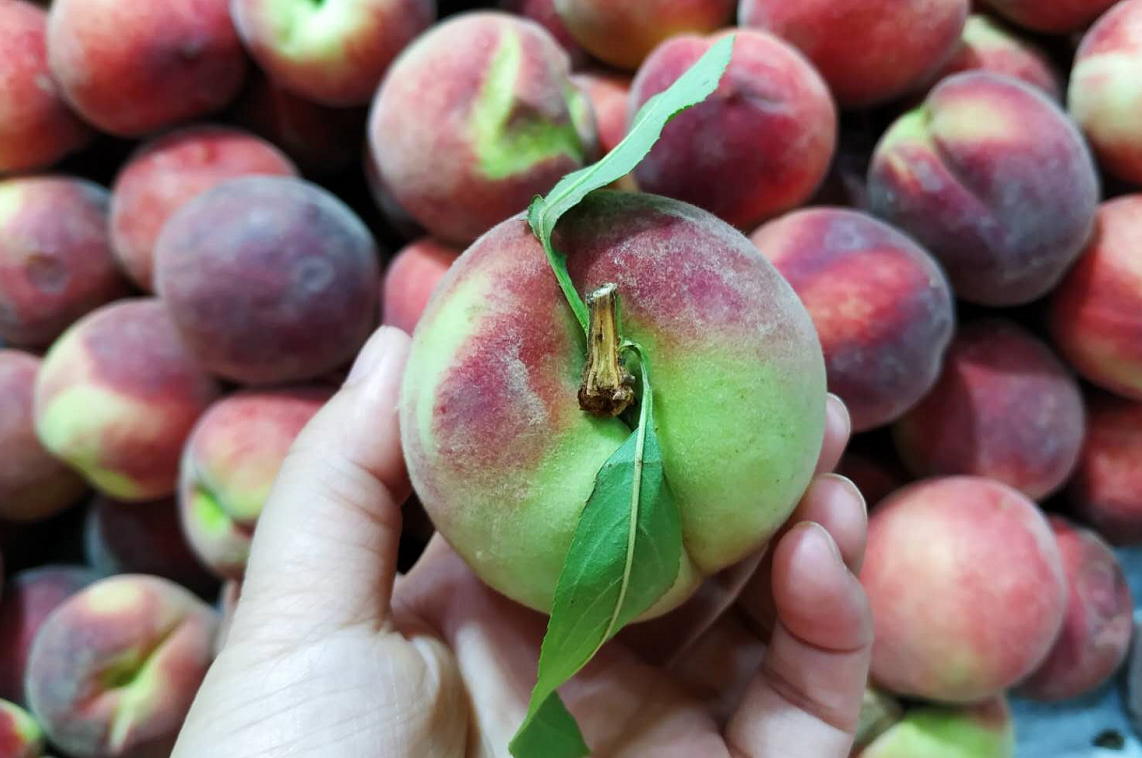 「五花肉」买桃子时，无论价格多便宜，只要满足这4点，桃子都脆甜多汁