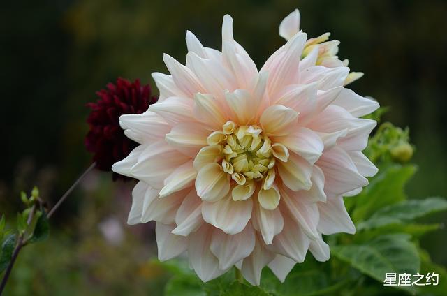 运势|在8月份，摆正心态，不遗余力，突破自我的三大星座