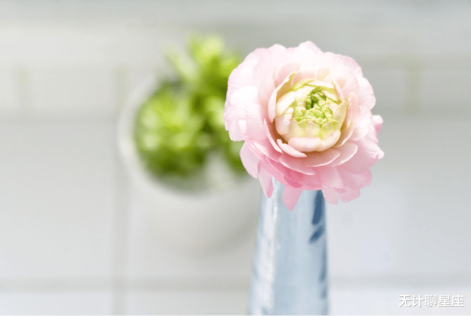 铁面无私|下周，会迎来自己事业的4个星座，前途似锦，收获多多