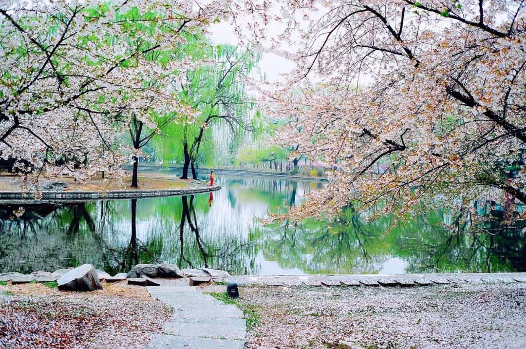 洛阳▲四月最佳旅行地|这9个地方玩转整个春天！