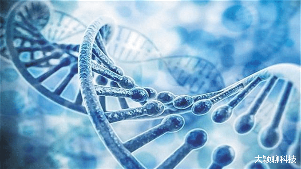 黑猩猩|科学家认为六百年前，外星人提取黑猩猩基因创造人类，你同意吗？