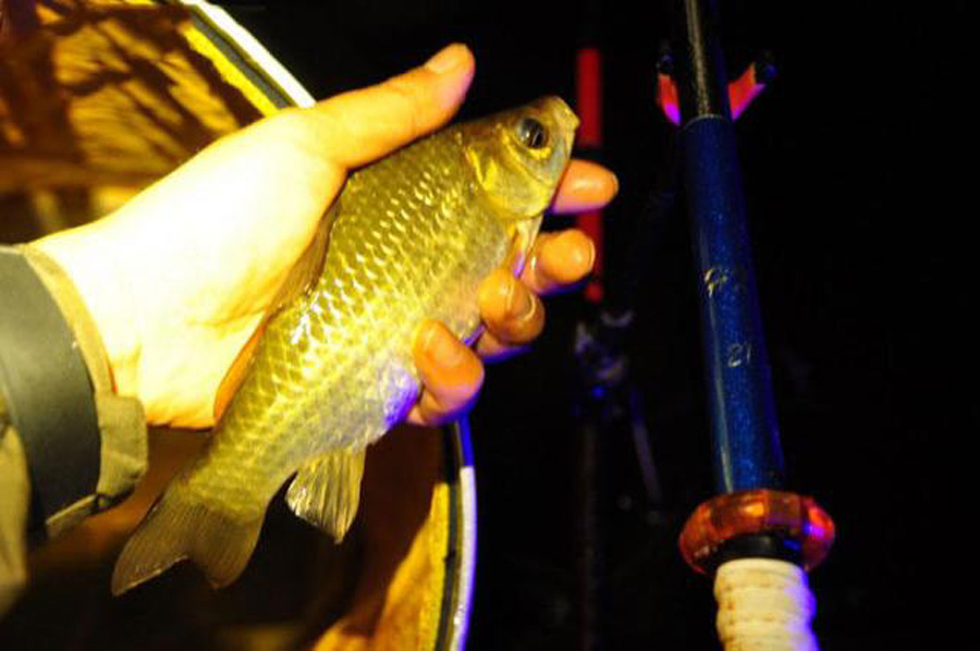 |夏季夜钓,不克服这三点,钓大鱼与你无缘