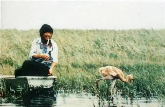 你好吴所畏|“中国最蠢的一群人”,都在这里了