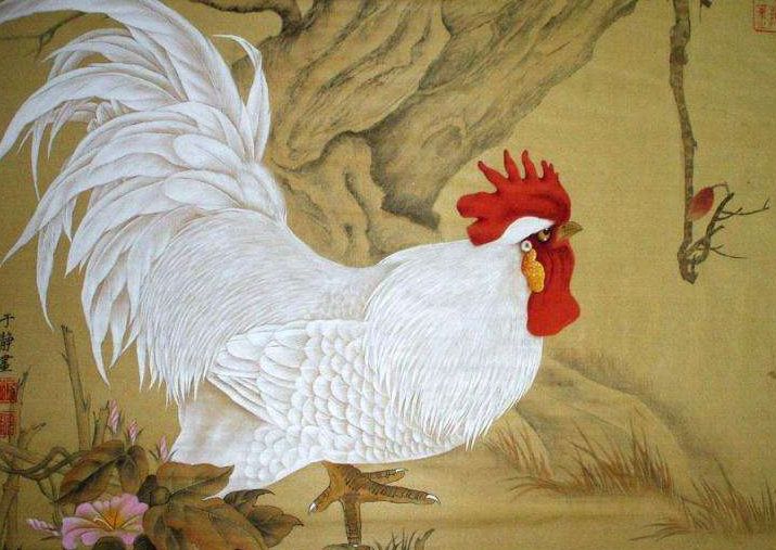 『属鸡』鸡:福报要来了,近期家庭有天塌喜事发生,别不信